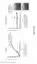 Fig. 07 - Amniotic Membrane Powder and Methods of Making