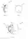 Fig. 06 - Non-invasive refractive treatment using nanoparticles