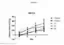 Fig. 07 - FORMULAS COMPRISING HIGHLY SOLUBLE ELEMENTS AND VITAMIN FOR THE PREVENTION AND AMELIORATION OF OSTEOPOROSIS
