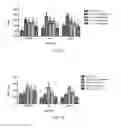 Fig. 07 - Effect of a Green and Black Tea Extract Formulation on Exercise Performance