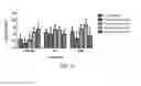 Fig. 08 - Effect of a Green and Black Tea Extract Formulation on Exercise Performance