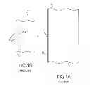 Fig. 02 - Glass substrate