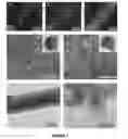 Fig. 02 - SYNTHESIS OF CUPRONICKEL NANOWIRES AND THEIR APPLICATION IN TRANSPARENT CONDUCTING FILMS