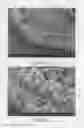 Fig. 02 - Lithium-sulfur secondary battery containing gradient electrolyte