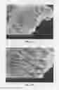 Fig. 03 - Lithium-sulfur secondary battery containing gradient electrolyte