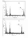 Fig. 04 - POSITIVE ACTIVE MATERIAL FOR RECHARGEABLE LITHIUM BATTERY