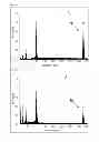 Fig. 06 - POSITIVE ACTIVE MATERIAL FOR RECHARGEABLE LITHIUM BATTERY