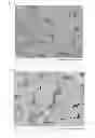 Fig. 03 - Positive electrode for non-aqueous electrolyte secondary battery, and non-aqueous electrolyte secondary battery