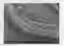 Fig. 01 - Lithium secondary batteries containing lithium salt-ionic liquid solvent electrolyte