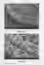 Fig. 02 - Lithium secondary batteries containing lithium salt-ionic liquid solvent electrolyte
