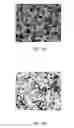 Fig. 06 - Cu-based cermet materials for solid oxide fuel cells
