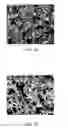 Fig. 07 - Cu-based cermet materials for solid oxide fuel cells