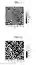 Fig. 02 - Electrophotographic toner, developer containing the toner, and image forming apparatus