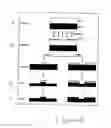 Fig. 02 - Novel Dual-Tone Resist Formulations And Methods