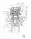 Fig. 03 - STOVE