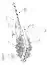 Fig. 02 - Animal dental cleaning device