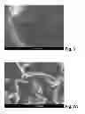 Fig. 07 - Process for providing structures for improved protein adherence on the surface of a body