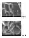 Fig. 08 - Process for providing structures for improved protein adherence on the surface of a body