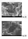 Fig. 09 - Process for providing structures for improved protein adherence on the surface of a body
