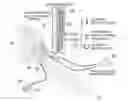 Fig. 01 - Universal sphygmomanometer simulator for live training and evaluation