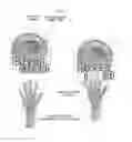 Fig. 06 - APPARATUS AND METHOD FOR SENSORY-TYPE LEARNING