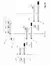 Fig. 06 - METHOD OF MEASURING IMMUNE ACTIVATION