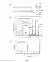 Fig. 03 - Methods for treatment of bacterial infections