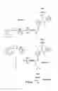 Fig. 07 - Method of determining the nucleotide sequence of oligonucleotides and DNA molecules