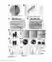 Fig. 07 - HAPLOID CELLS