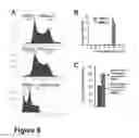 Fig. 09 - HAPLOID CELLS