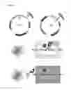 Fig. 02 - FLUORESCENT TWO-HYBRID (F2H) ASSAY FOR DIRECT VISUALIZATION OF PROTEIN INTERACTIONS IN LIVING CELLS