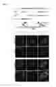 Fig. 04 - FLUORESCENT TWO-HYBRID (F2H) ASSAY FOR DIRECT VISUALIZATION OF PROTEIN INTERACTIONS IN LIVING CELLS
