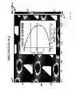 Fig. 07 - MICROFLUIDIC PROCESSING OF LEUKOCYTES FOR MOLECULAR DIAGNOSTIC TESTING