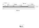 Fig. 02 - Immunoassay for detecting antibiotics