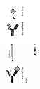 Fig. 02 - Method for the detection of a binding partner of a multispecific binder