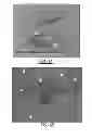 Fig. 05 - Method and composition for a protein transduction technology and its applications