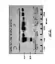 Fig. 08 - Method and composition for a protein transduction technology and its applications