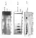 Fig. 14 - Method and composition for a protein transduction technology and its applications