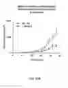 Fig. 49 - Vascular endothelial growth factor 2