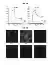 Fig. 04 - Neutralizing GP41 antibodies and their use