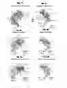 Fig. 06 - Neutralizing GP41 antibodies and their use