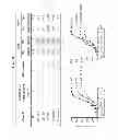 Fig. 07 - Neutralizing GP41 antibodies and their use