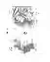 Fig. 08 - Neutralizing GP41 antibodies and their use