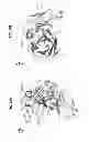 Fig. 28 - Neutralizing GP41 antibodies and their use