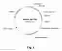 Fig. 02 - Polypeptides Having Xylanase Activity and Polynucleotides Encoding Same