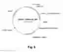 Fig. 06 - Polypeptides Having Xylanase Activity and Polynucleotides Encoding Same