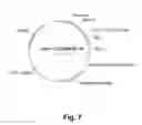 Fig. 08 - Polypeptides Having Xylanase Activity and Polynucleotides Encoding Same