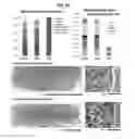 Fig. 16 - Organ chips and uses thereof