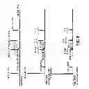 Fig. 07 - Combined hairpin-antisense compositions and methods for modulating expression