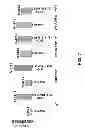 Fig. 08 - Combined hairpin-antisense compositions and methods for modulating expression